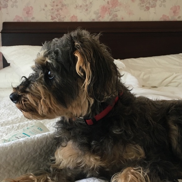 Meet your Posher, Kate - Picture 1 of 1